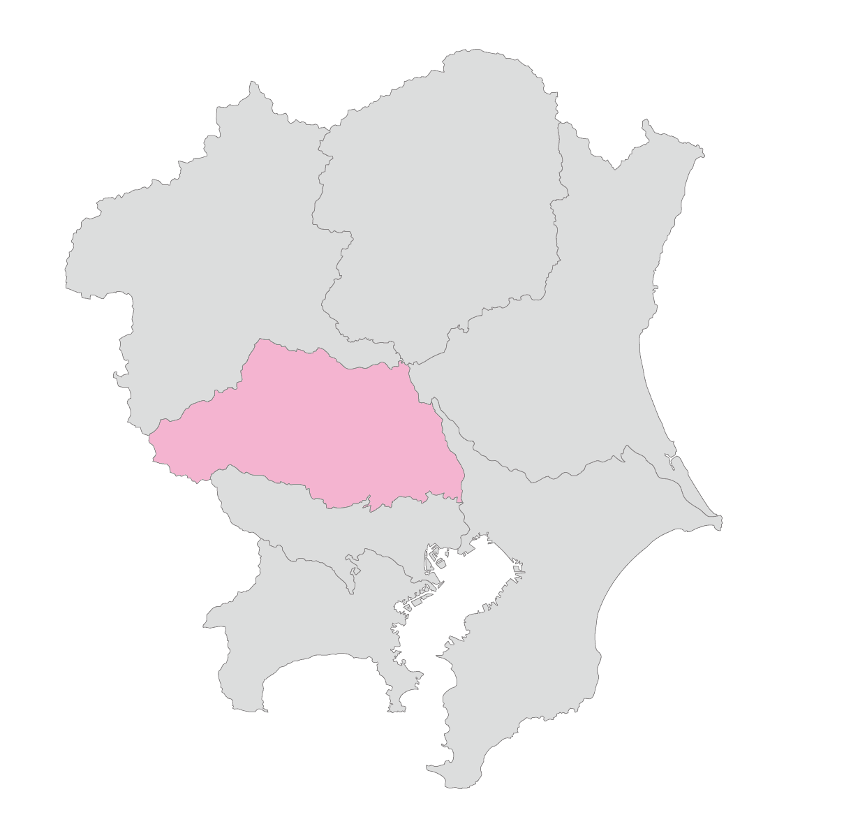 埼玉県の物件